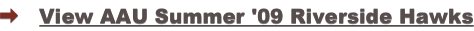 shapeimage_5_link_0